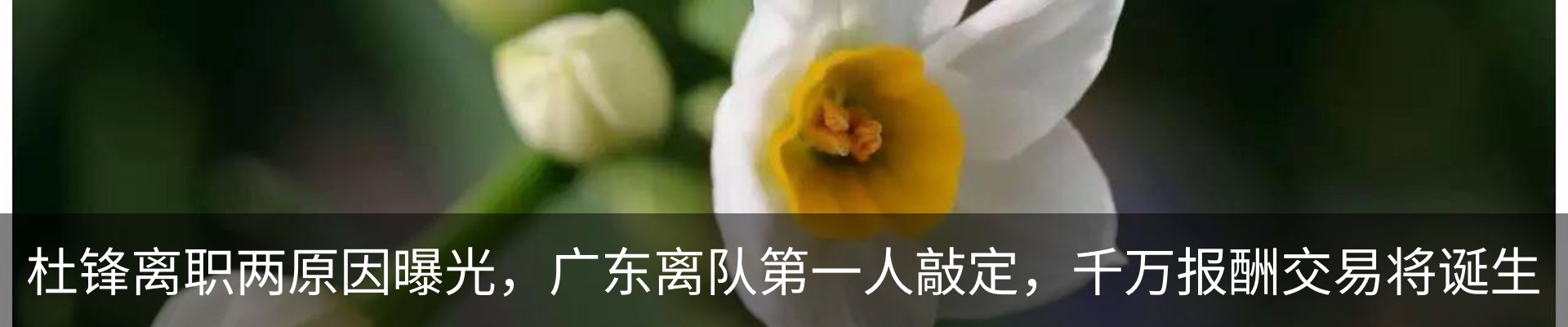 最新动态